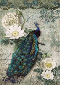 Decoupage Queen Peacock Majesty
