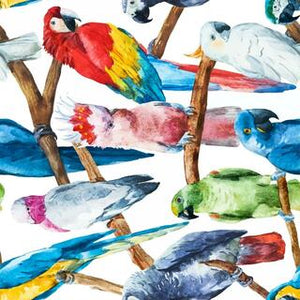 Belles and Whistles Decoupage Rice Paper Birds