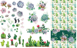 Belles & Whistles Cacti & Succulents Transfer