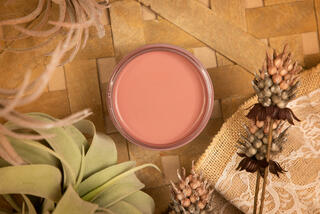 Desert Rose Silk All In One Mineral Paint